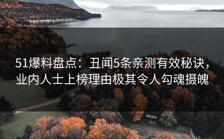 51爆料盘点：丑闻5条亲测有效秘诀，业内人士上榜理由极其令人勾魂摄魄